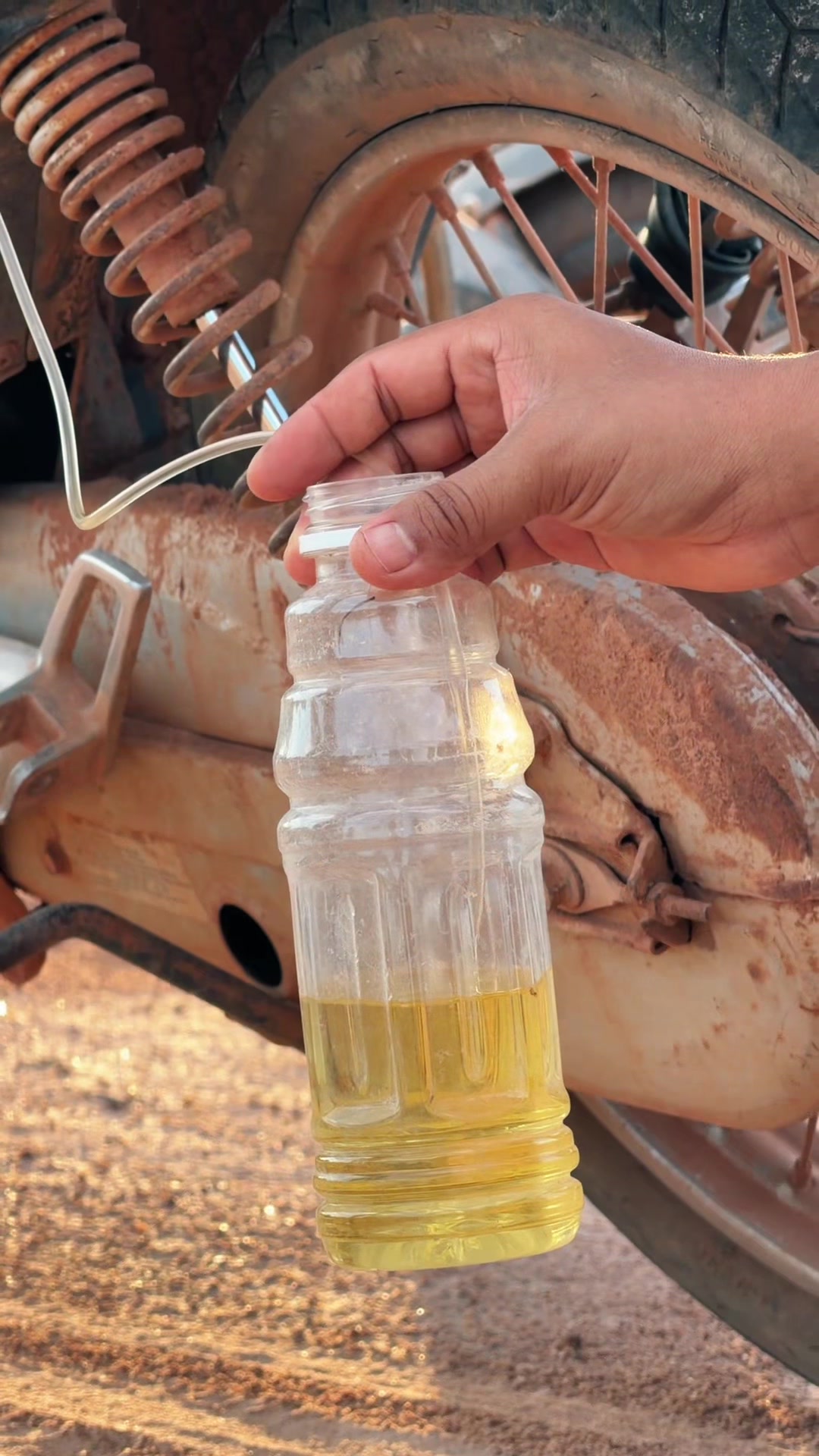 @កូនចាបមាស