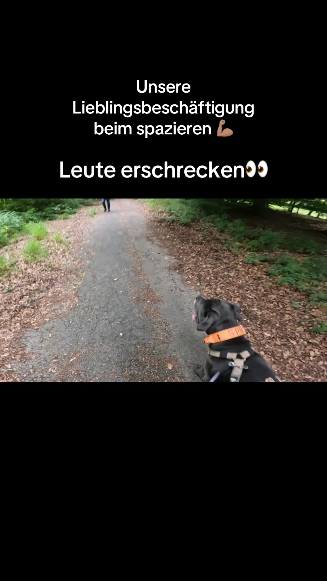 @luca29.7