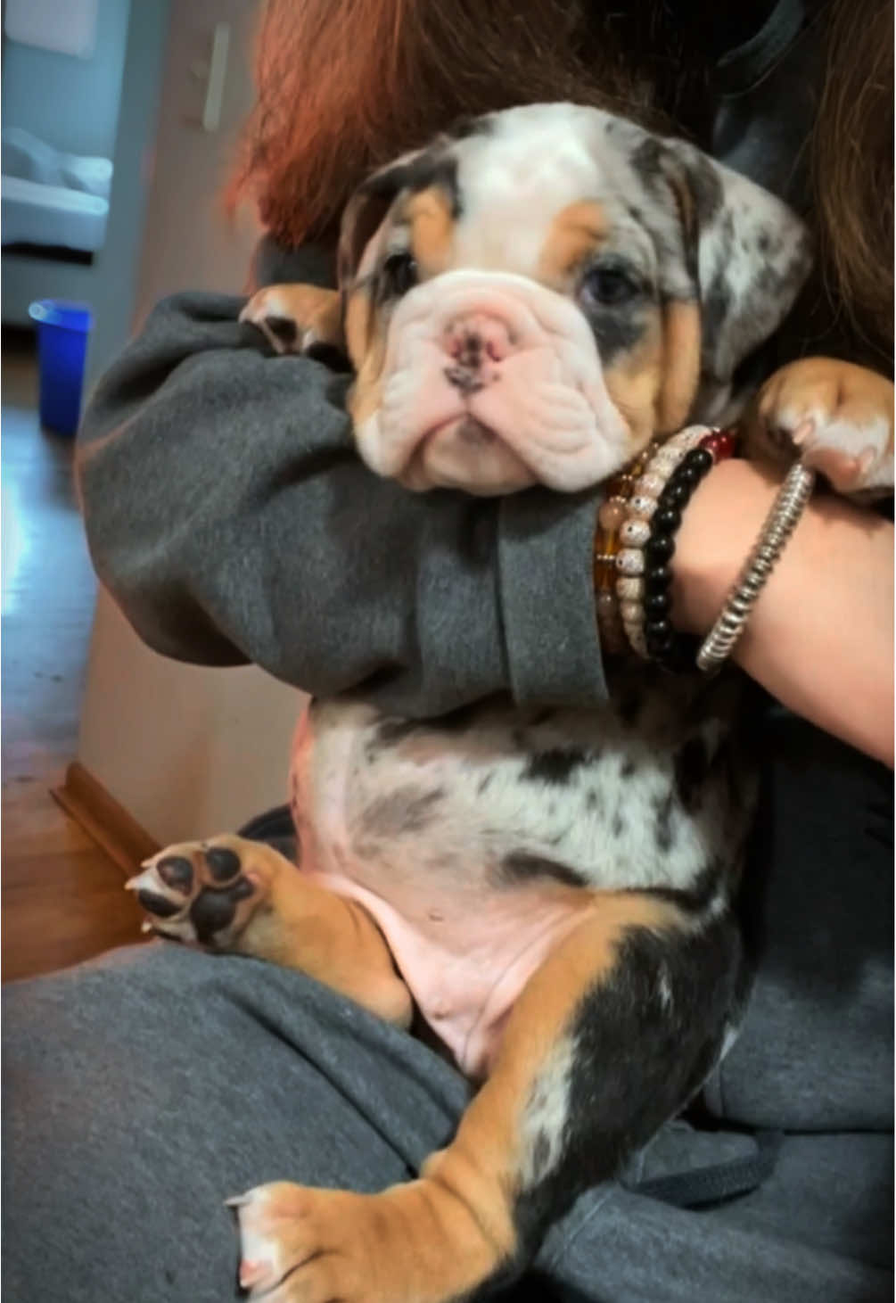 @1of1bulldogz