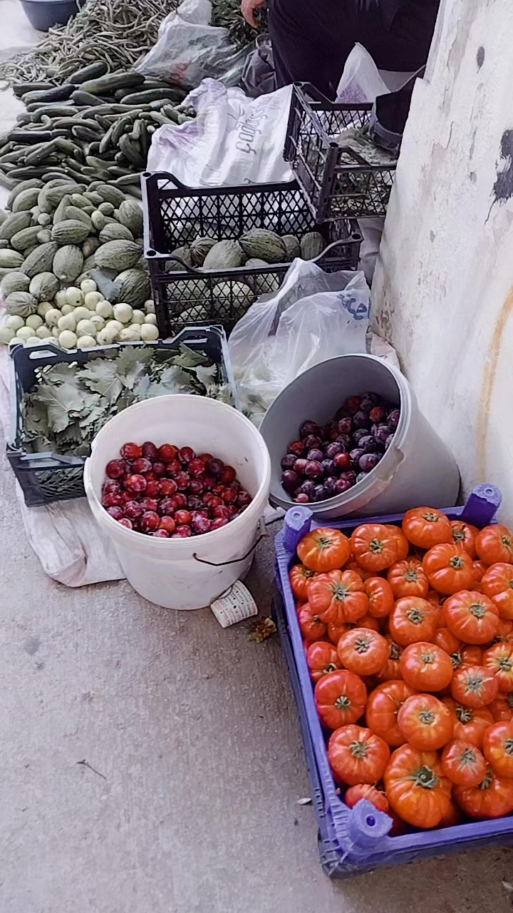 @ömer polat gönül dostu