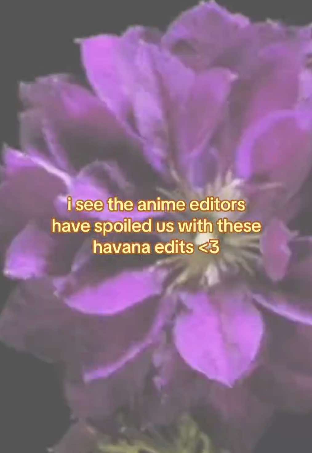 @K  Y  R  &Oslash;.