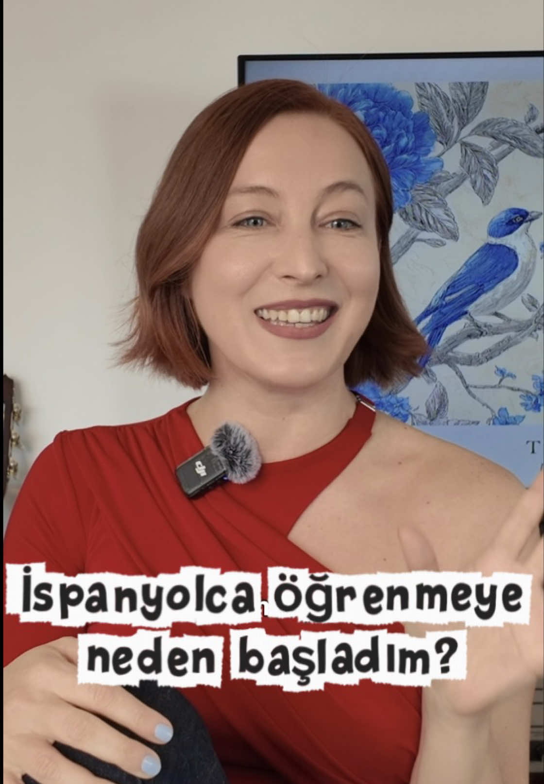 @aysu melis