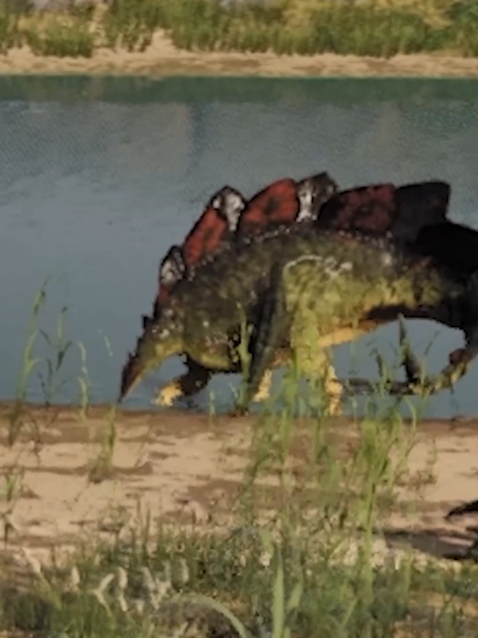 @p