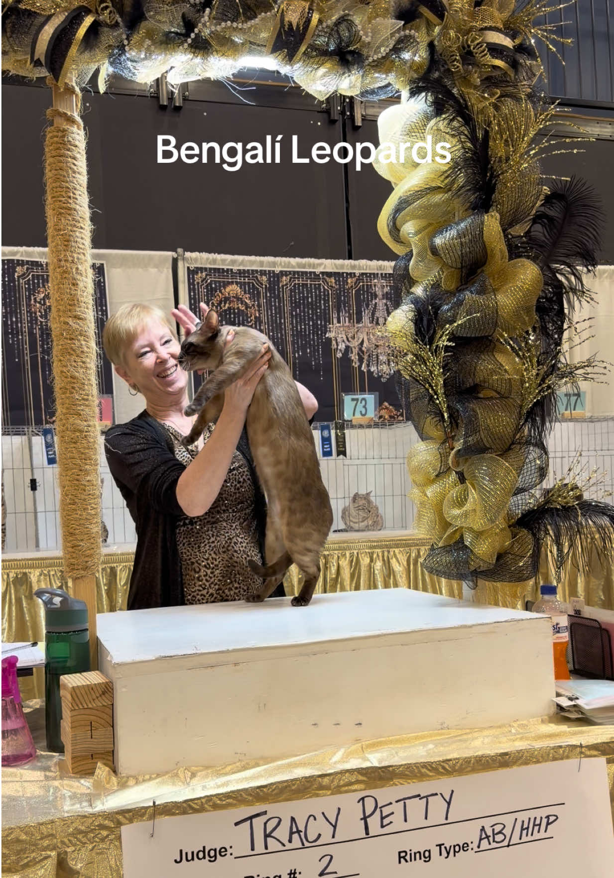 @ＢＥＮＧＡＬ&Iacute;&emsp;ＬＥＯＰＡＲＤＳ