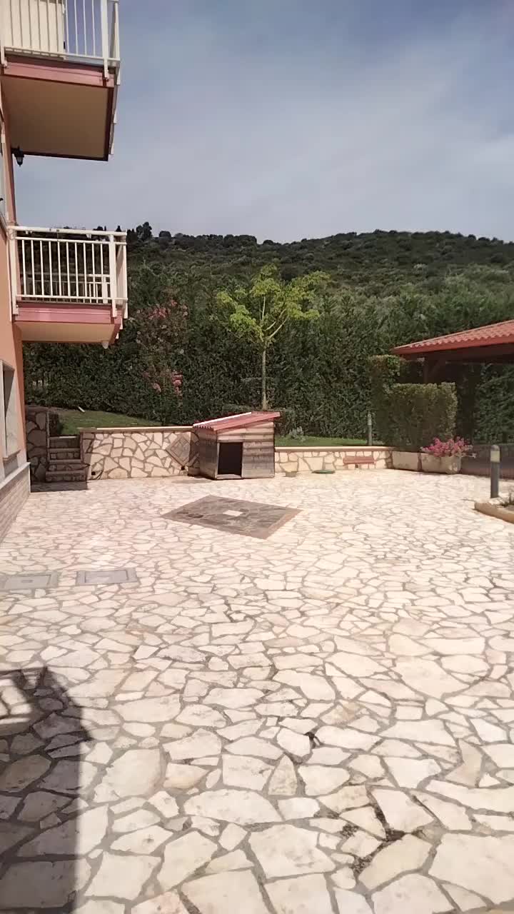 @vito il calabrese