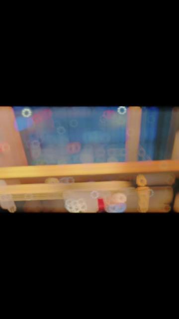 @Tiger's King's
