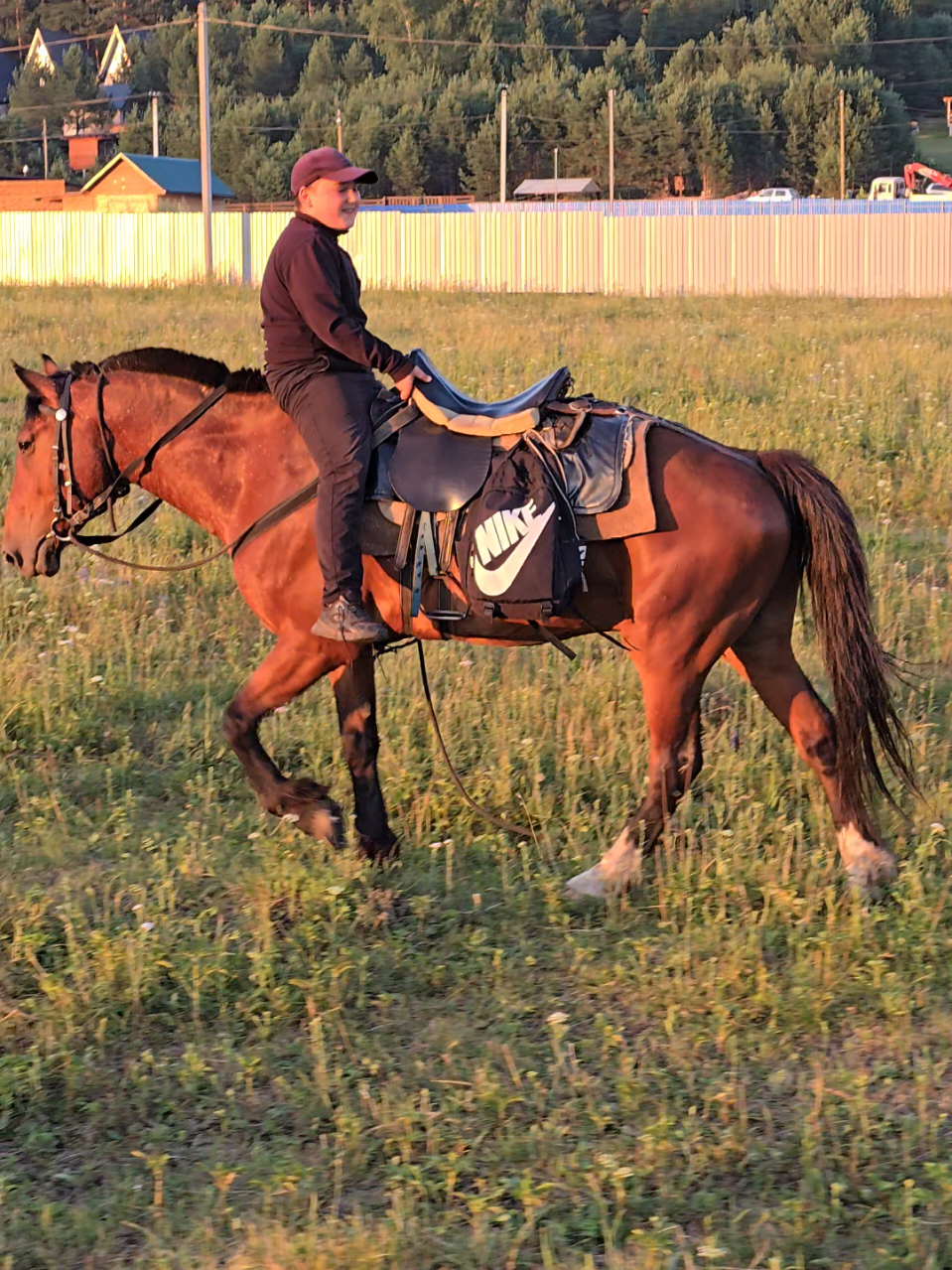 @tg: altaihorses