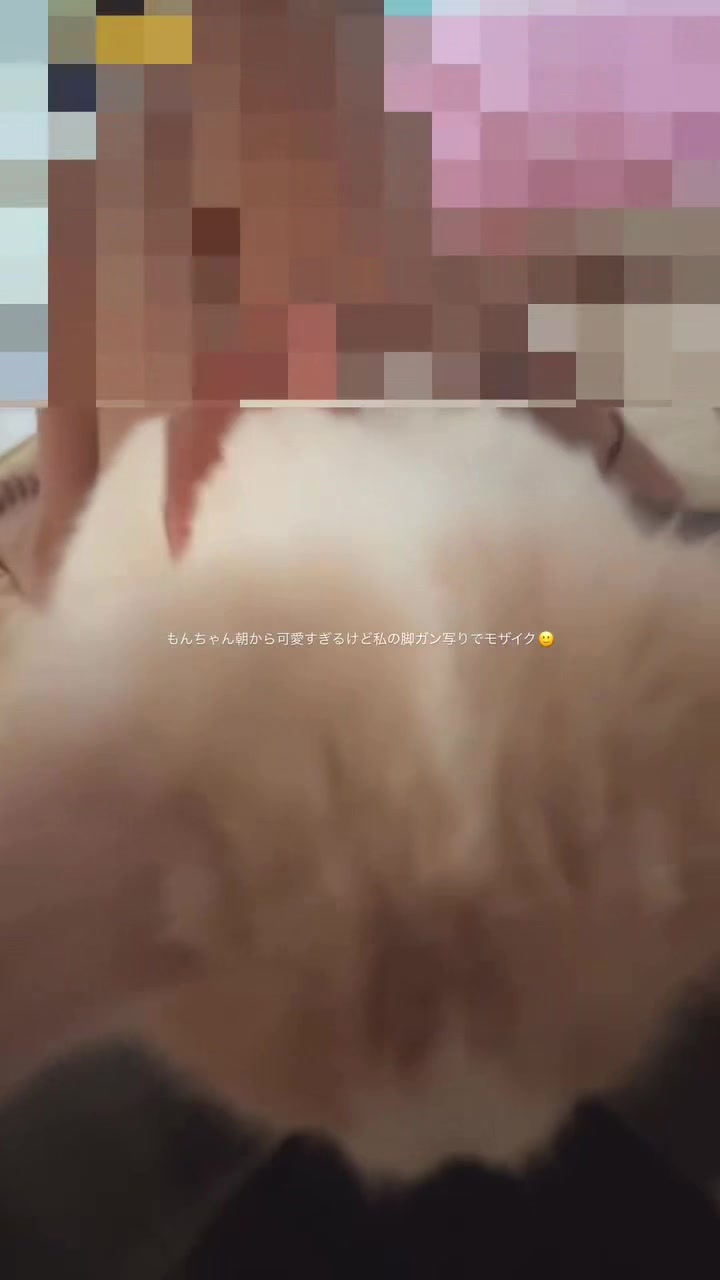 @ワタシの可愛い天使達💘
