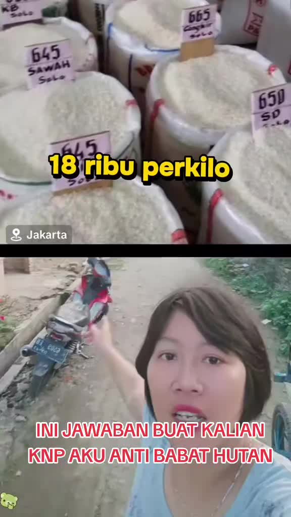 @TANIA JABRIK 2