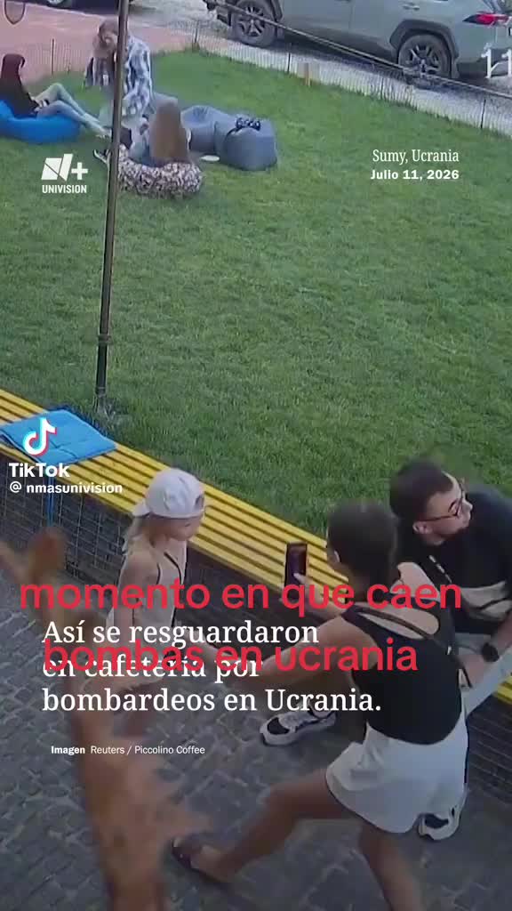 @Gaviota777