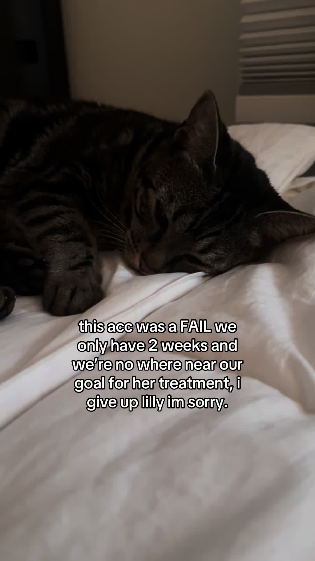 @Olivia