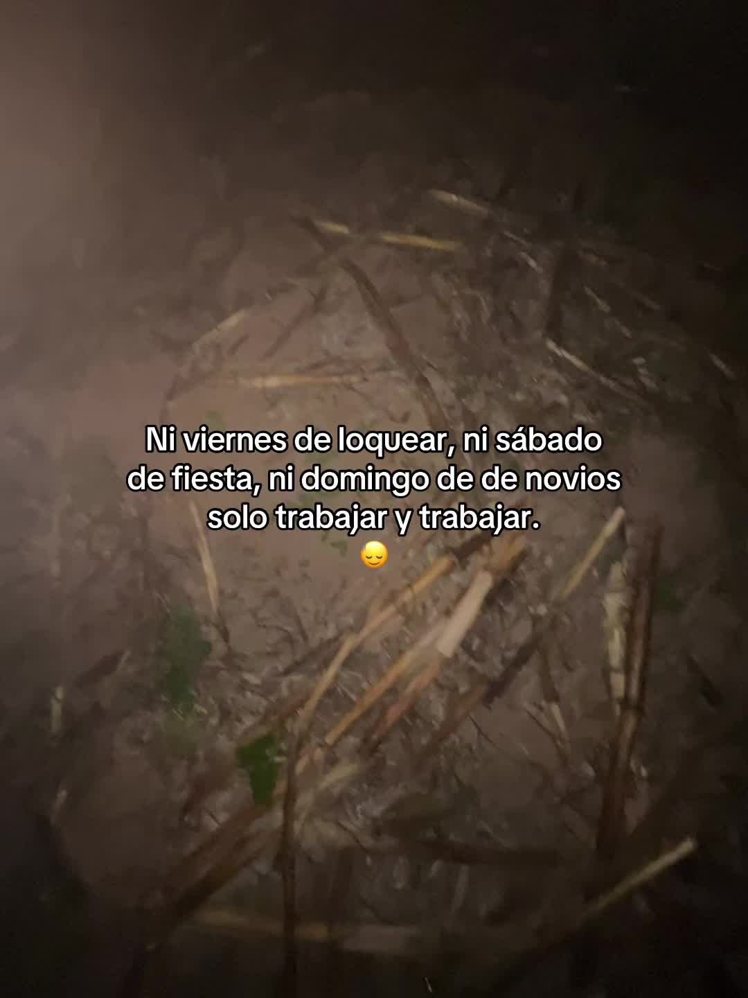 @Henry 🫡🤠