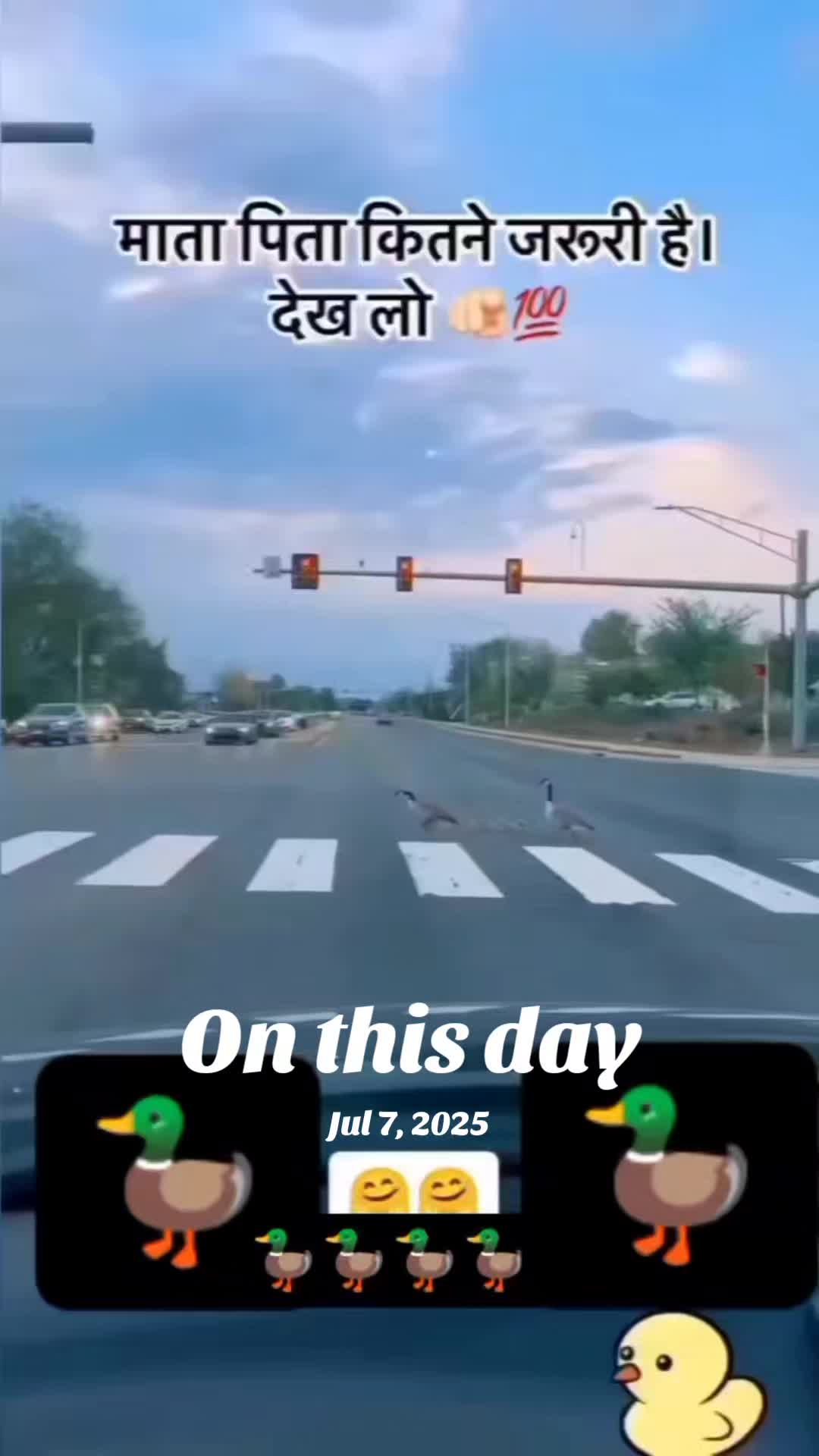 @nandubhai