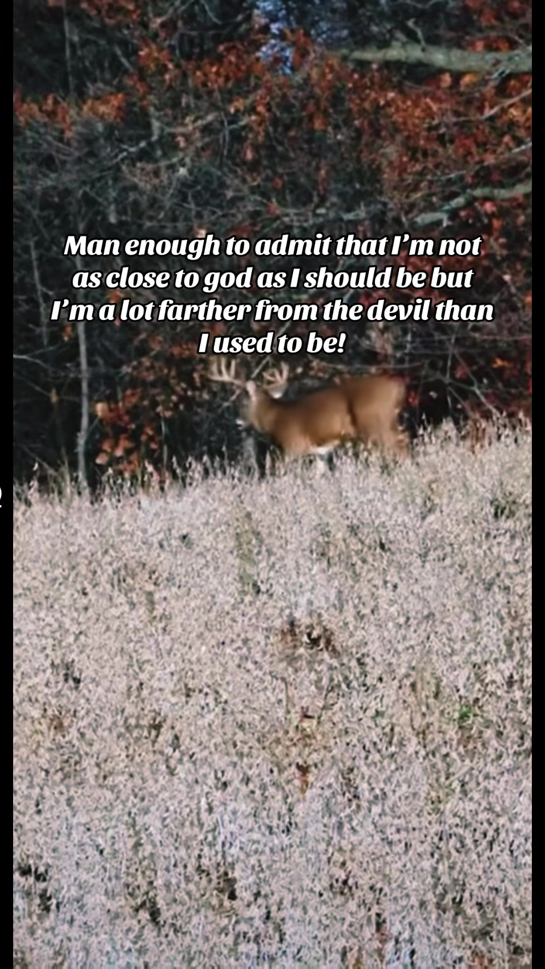 @🦌 Megabucks Outdoors 🦌