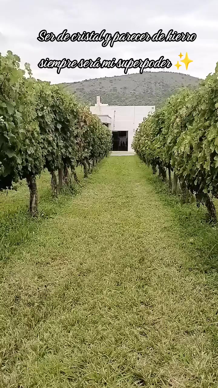 @ꪗꪖ᥊ꫀ᭢ꪗ 🍒