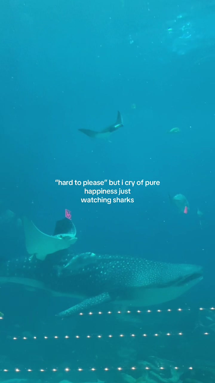 @katie 🌊☀️🏔️🌱✈️