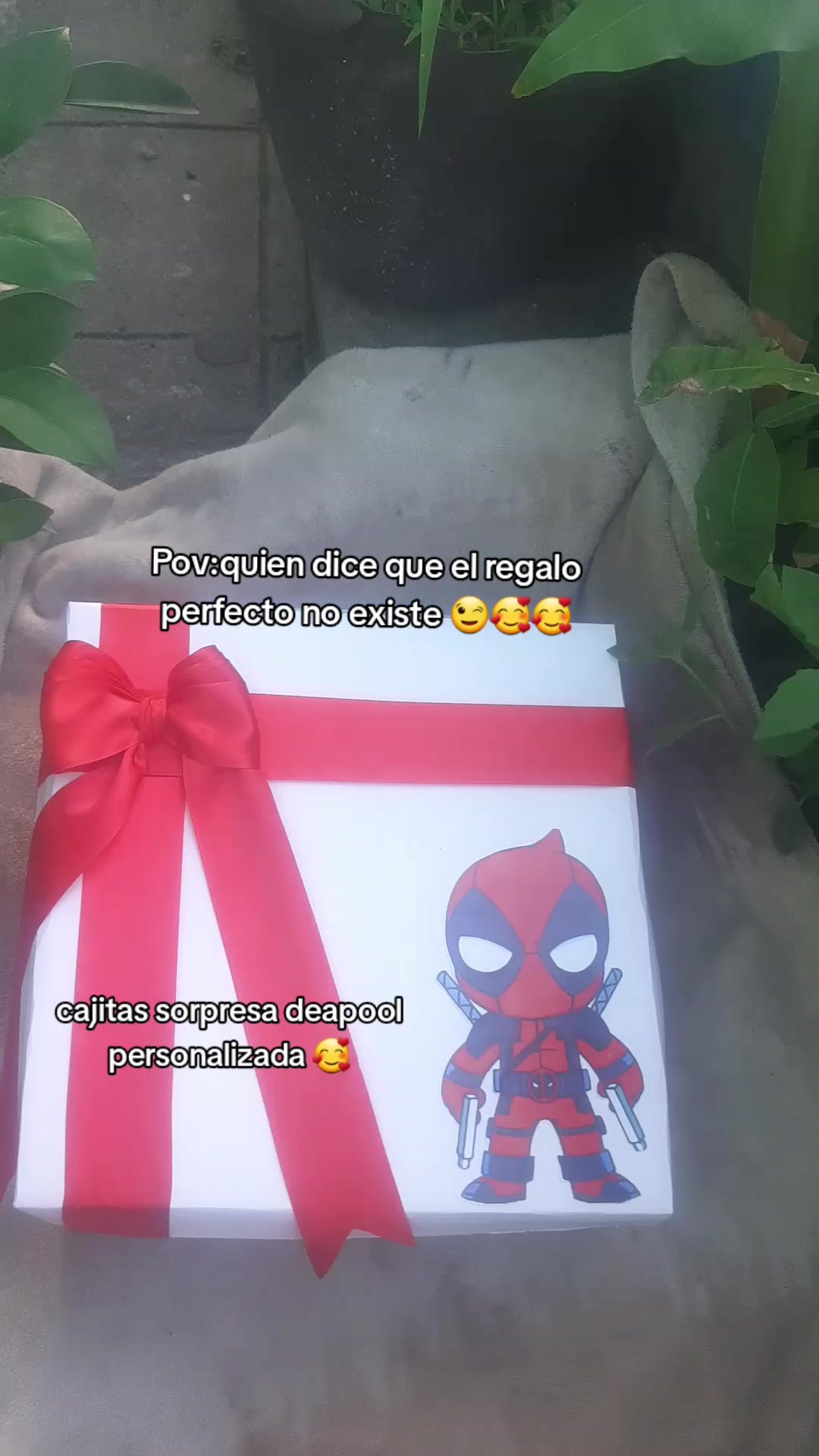 @Ana Preza👩🍳🍮🥰🧚♀️💐🌻🥰