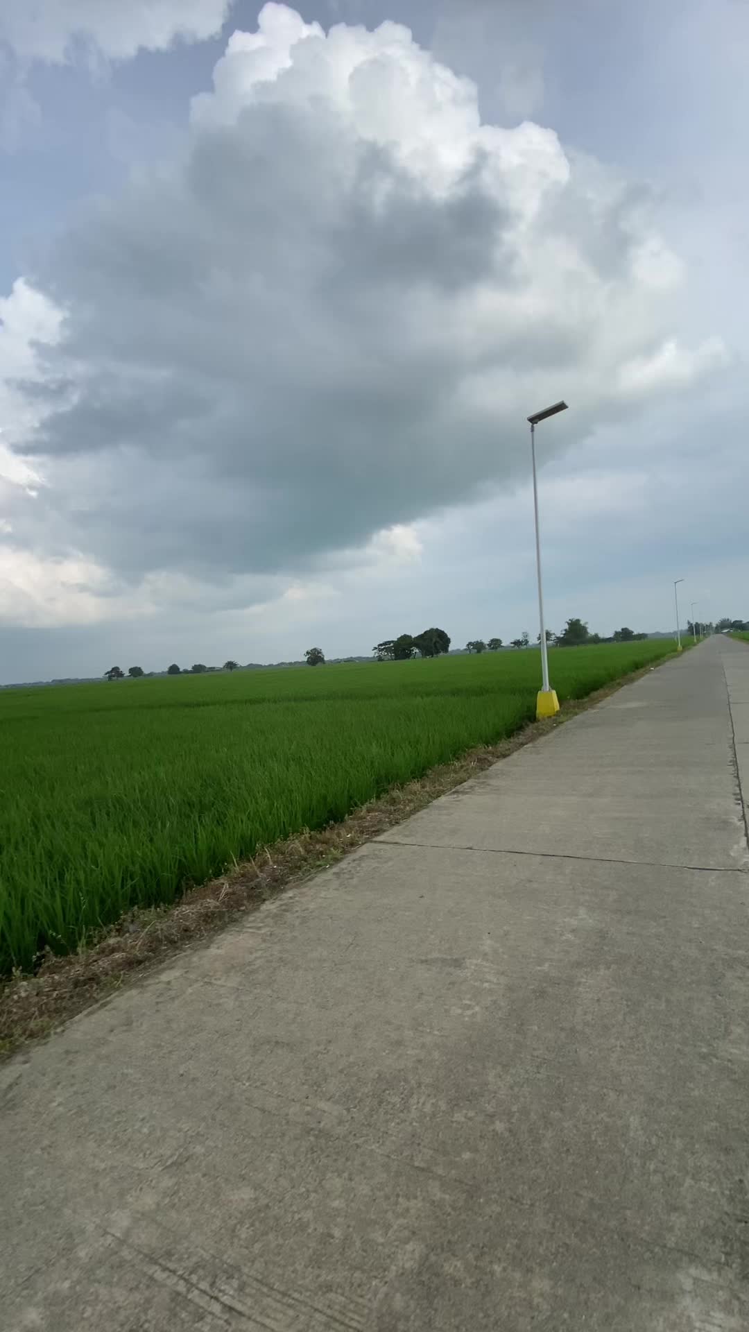 @sunlitsanctuary