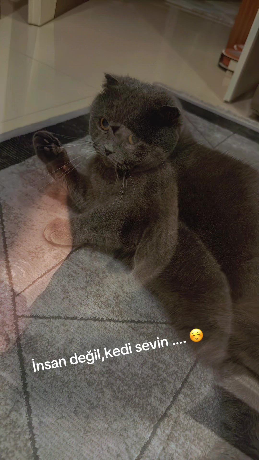 @yenilmez_asi