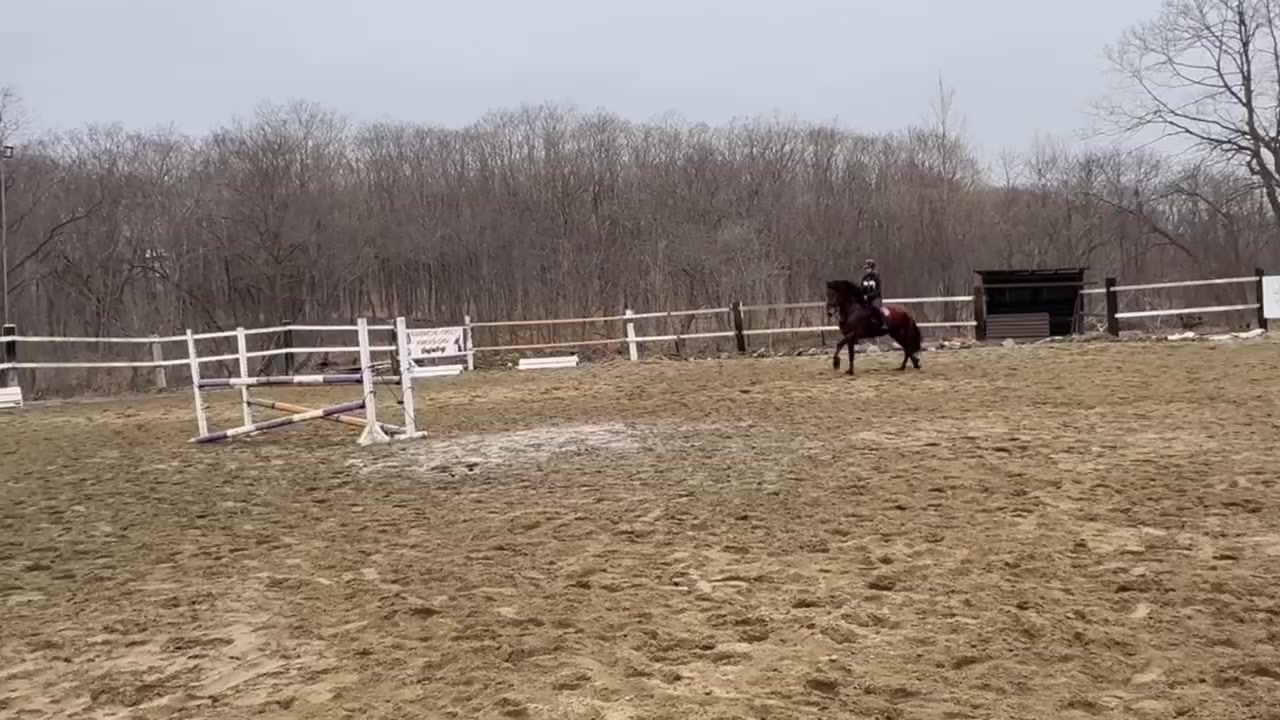 @🐴🤎