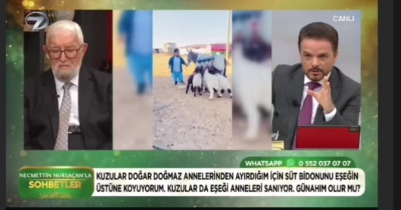 @SEDAT Uçâk|صدام العلي