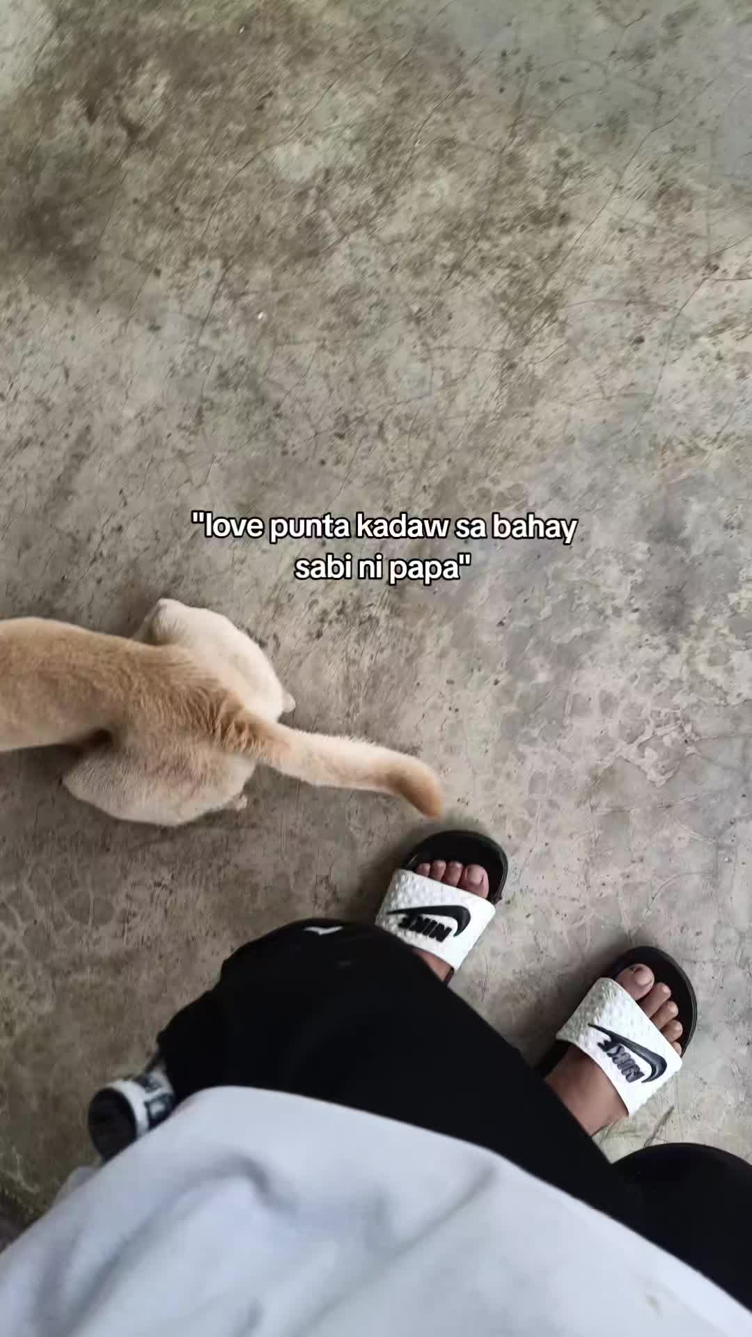 @️