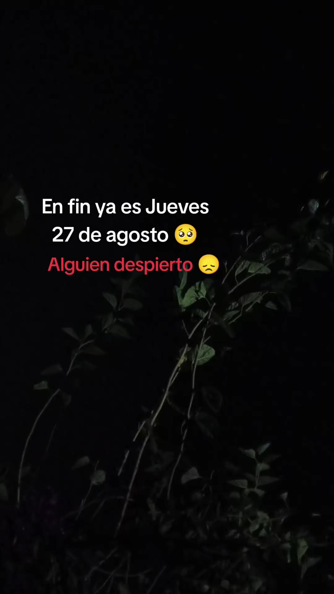 @@flaquito_071