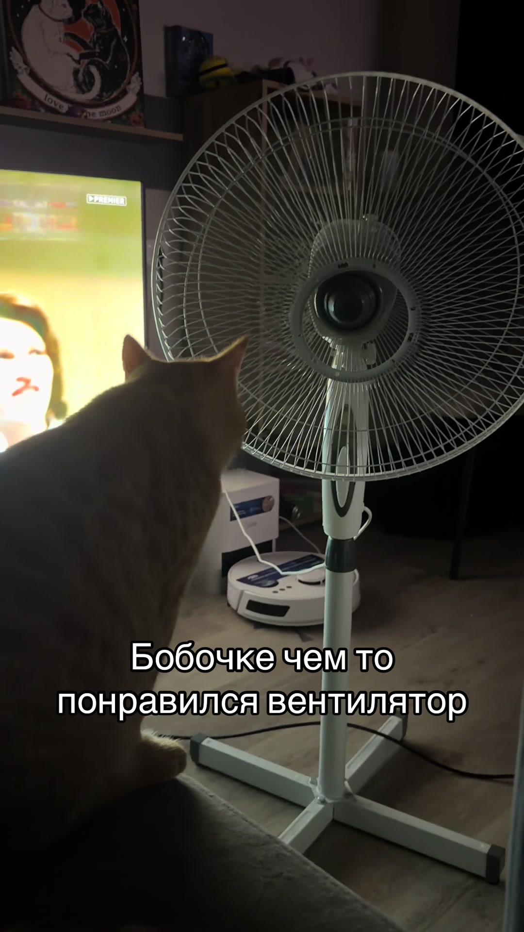 @кастрюля