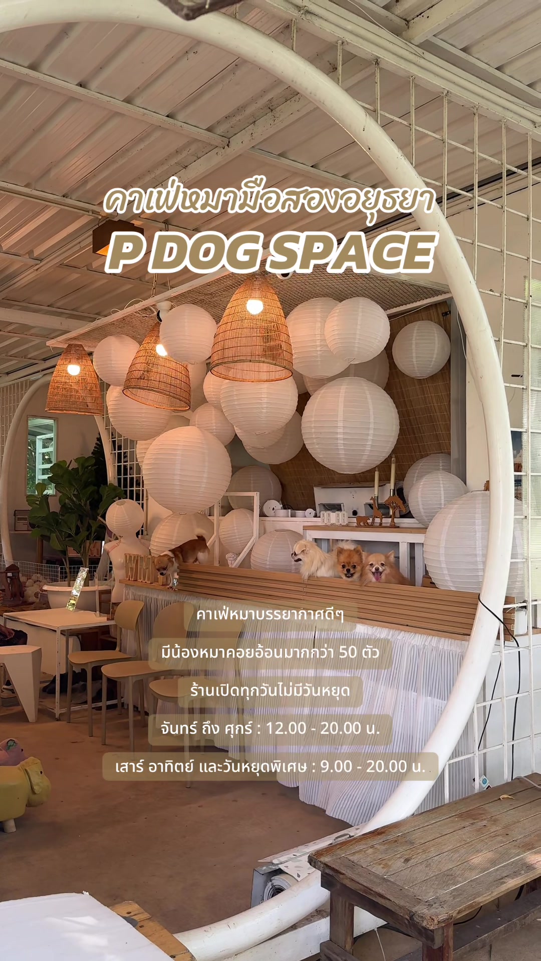 @P Dog Space คาเฟ่หมามือสอง 🐶