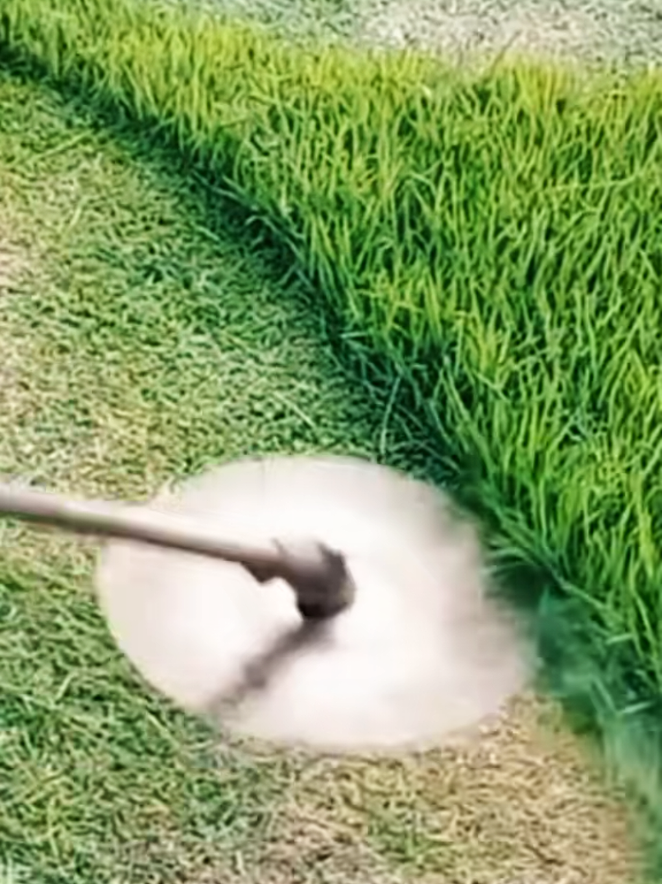@Satisfying Mowing