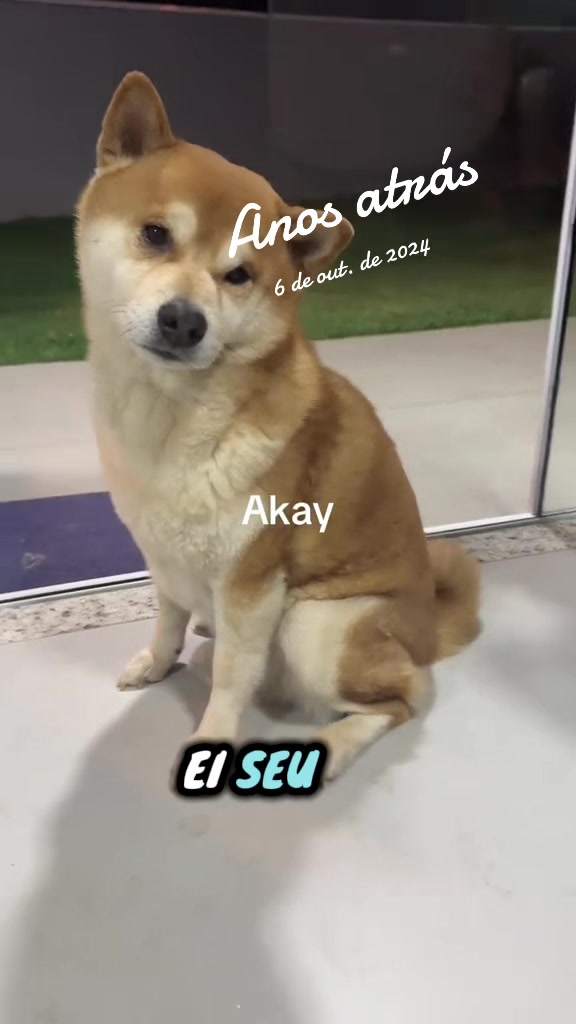 @Dj Nip