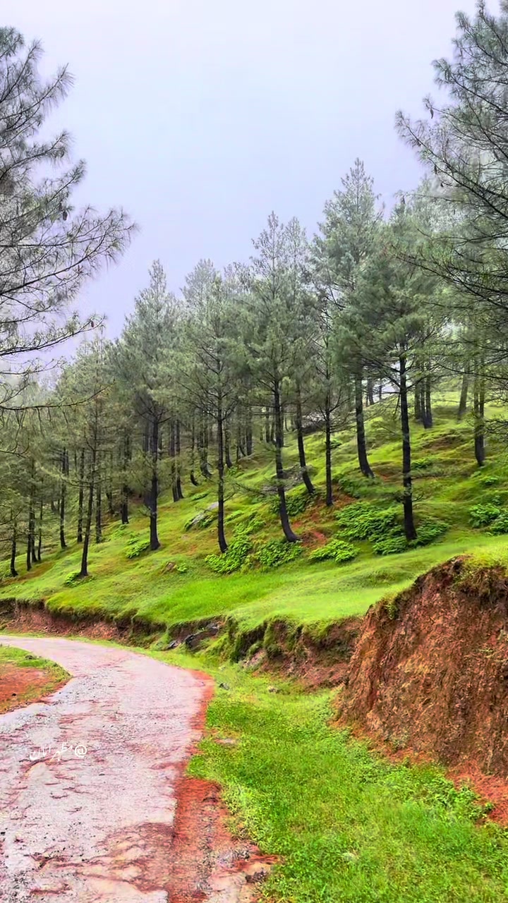 @مظہرامان