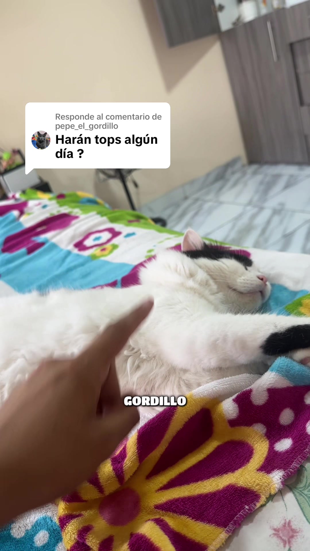 @pepe_el_gordillo