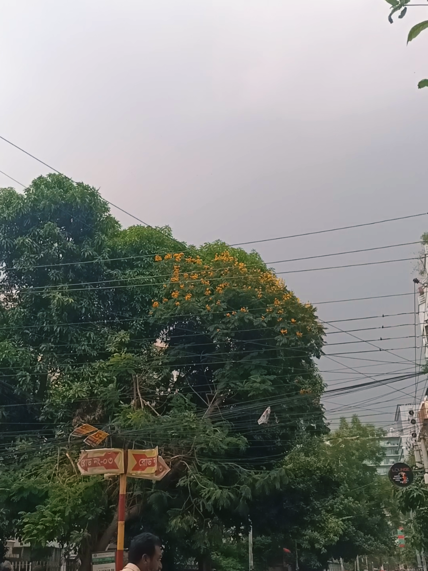 @Mahfujalamsanto6