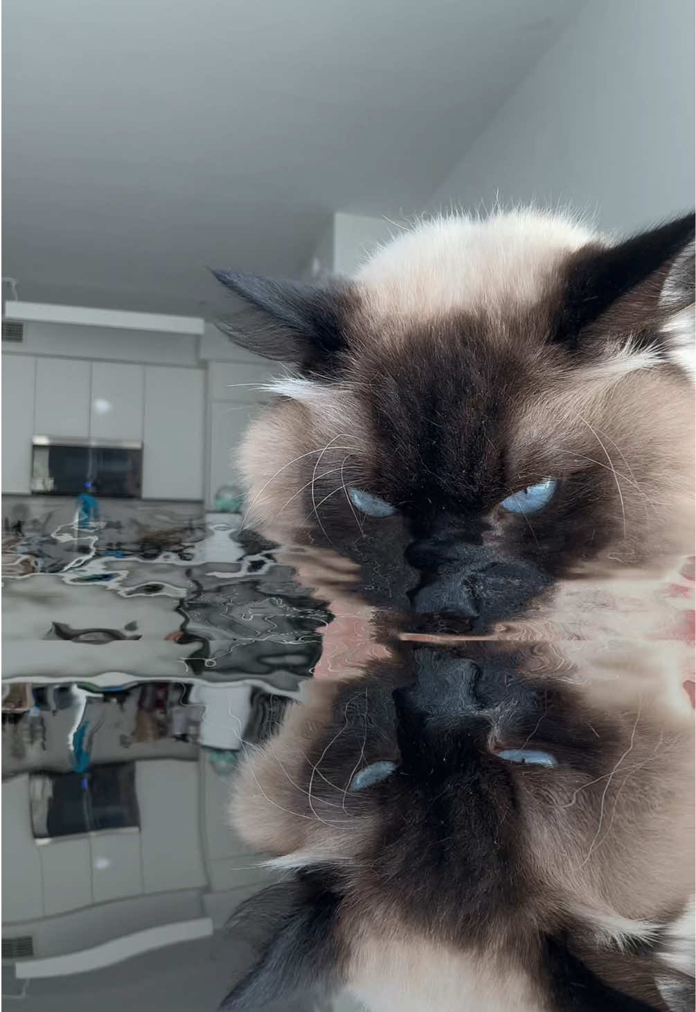 @vic 龚亦婧