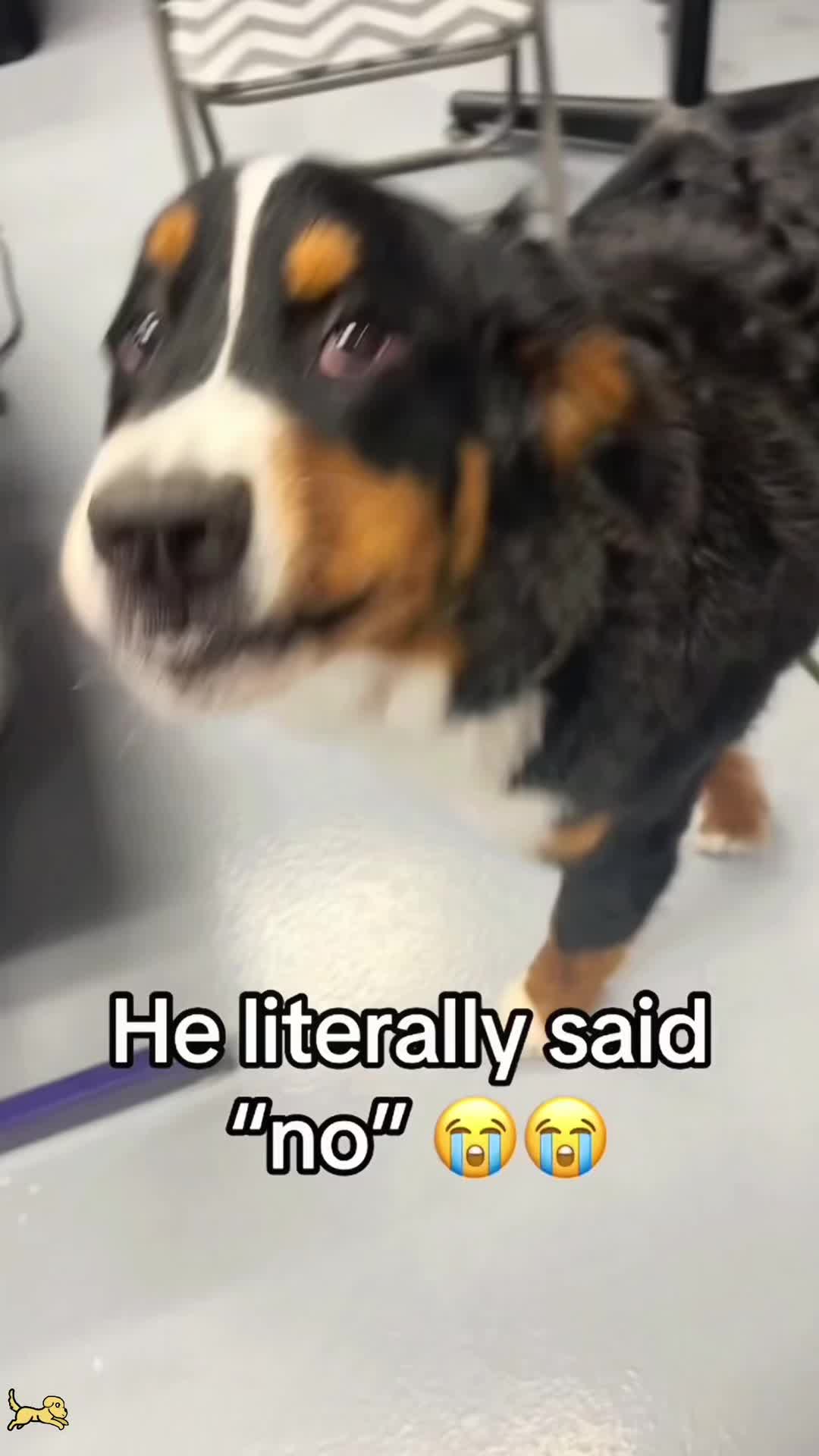 @SneakyFails