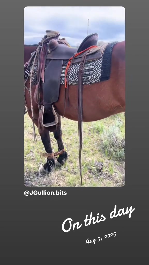 @JGullion.bits