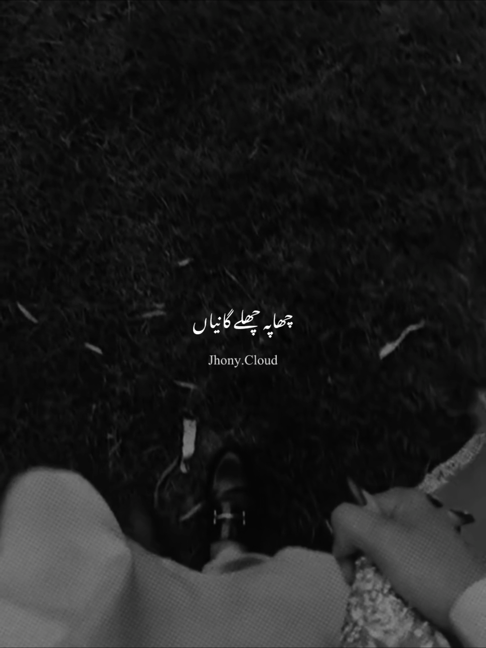 @𝑨 𝑹 𝑺 𝑨 𝑳 👑