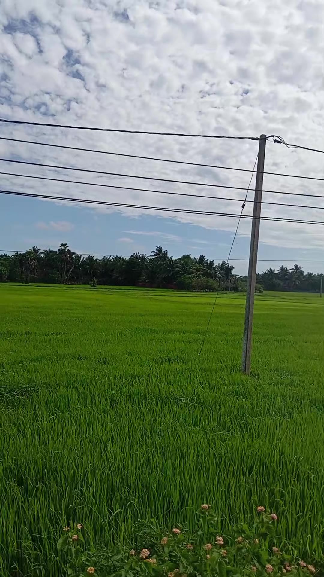 @tamil rathi