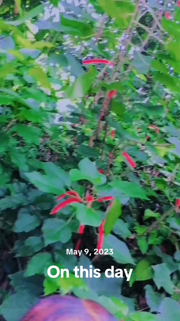@R_:🐥🫀