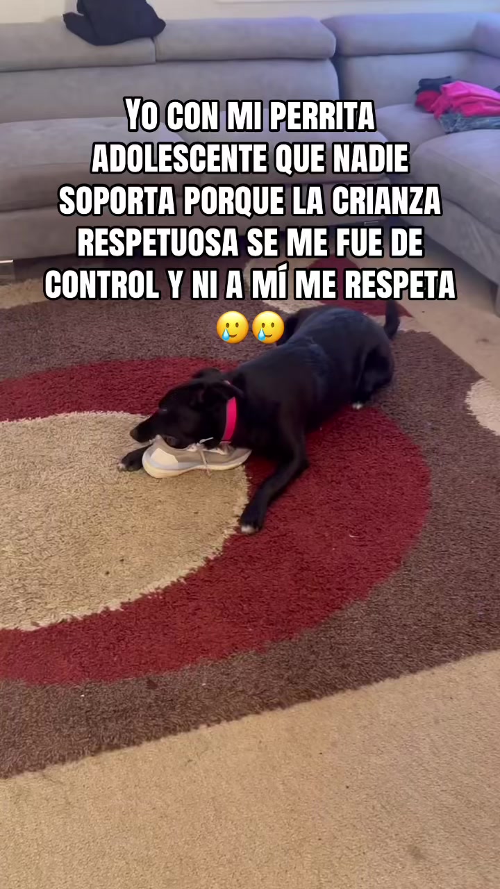 @Fer🥰