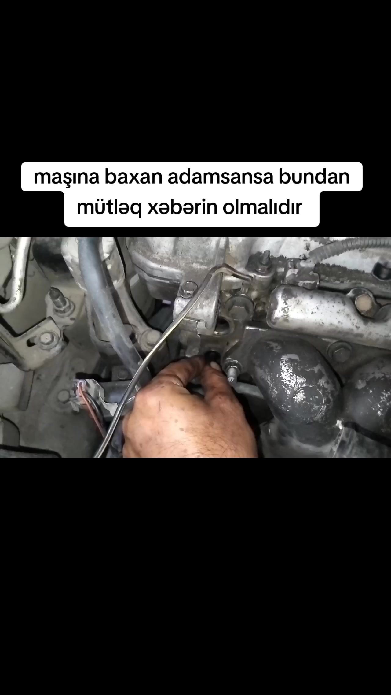 @ismim_diller_ezberidir_