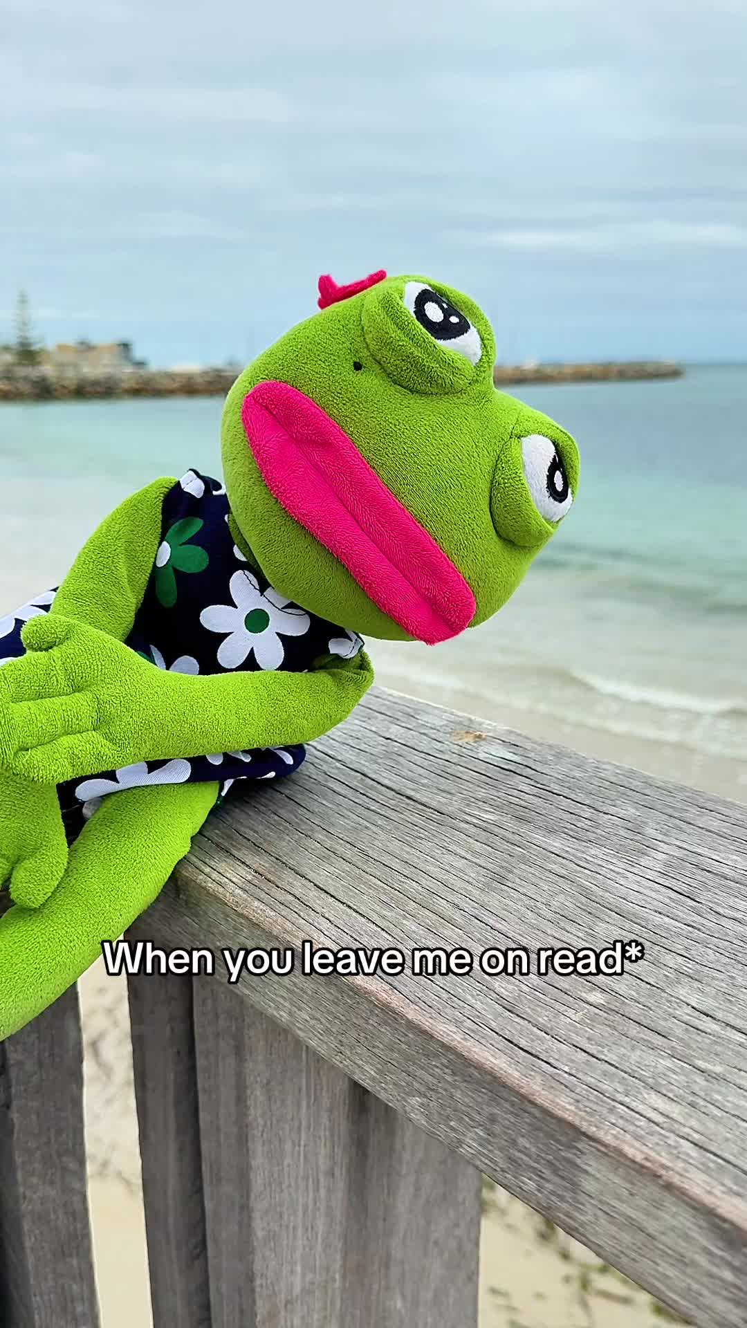 @AdoptAPepe