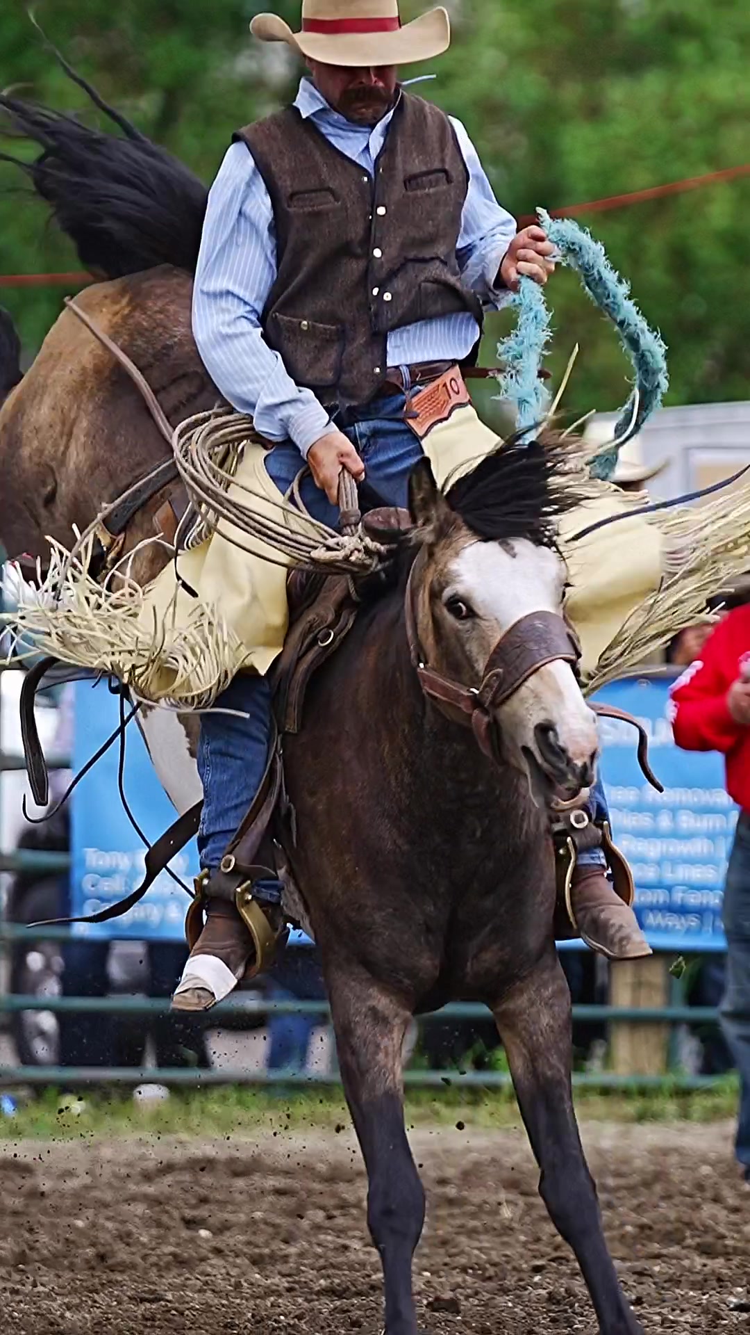 @Hanginghorses