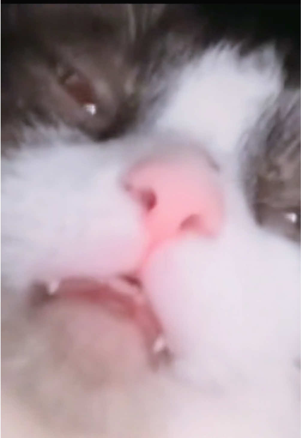 @๐๐๐