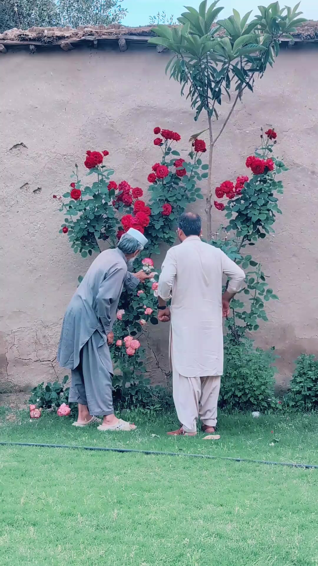 @Ajmeer khan
