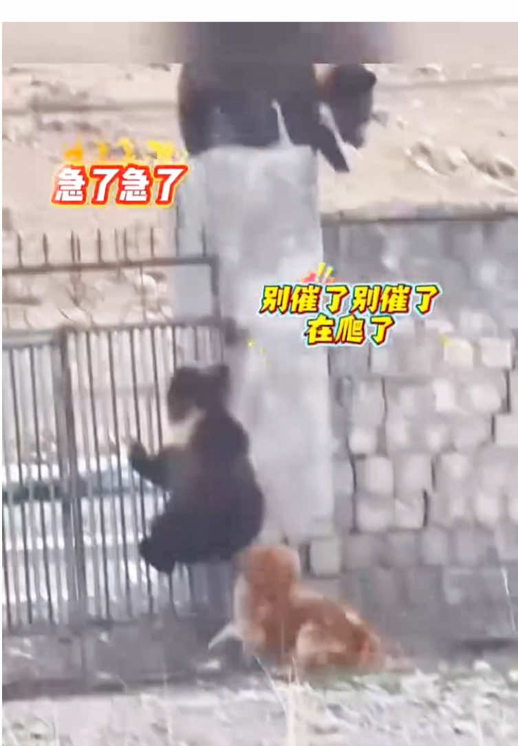 @liujiangyu