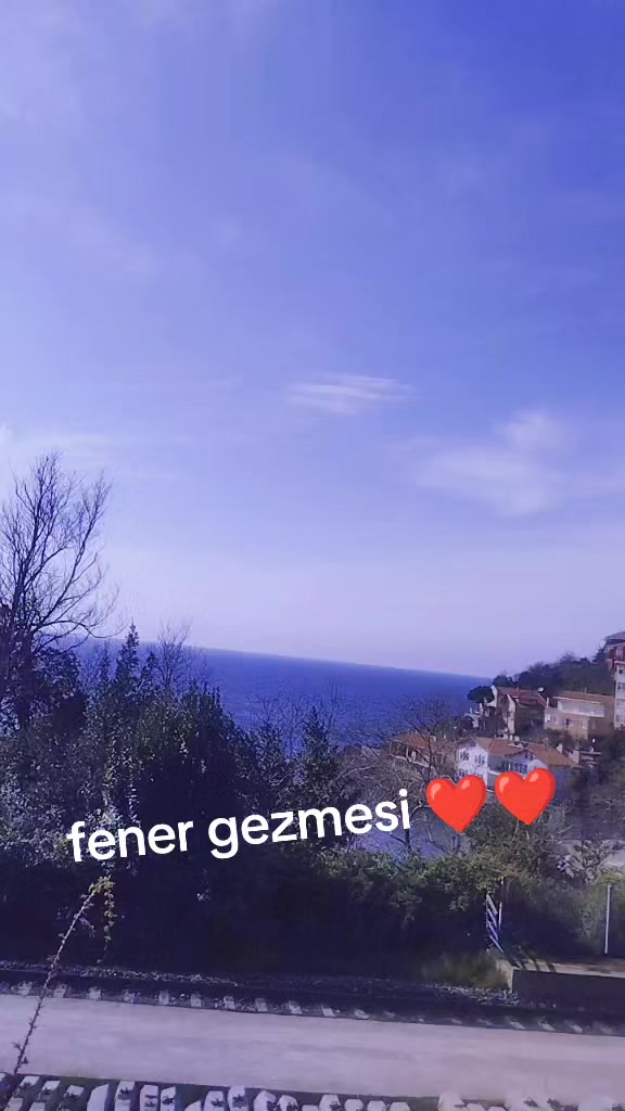 @sedef demir