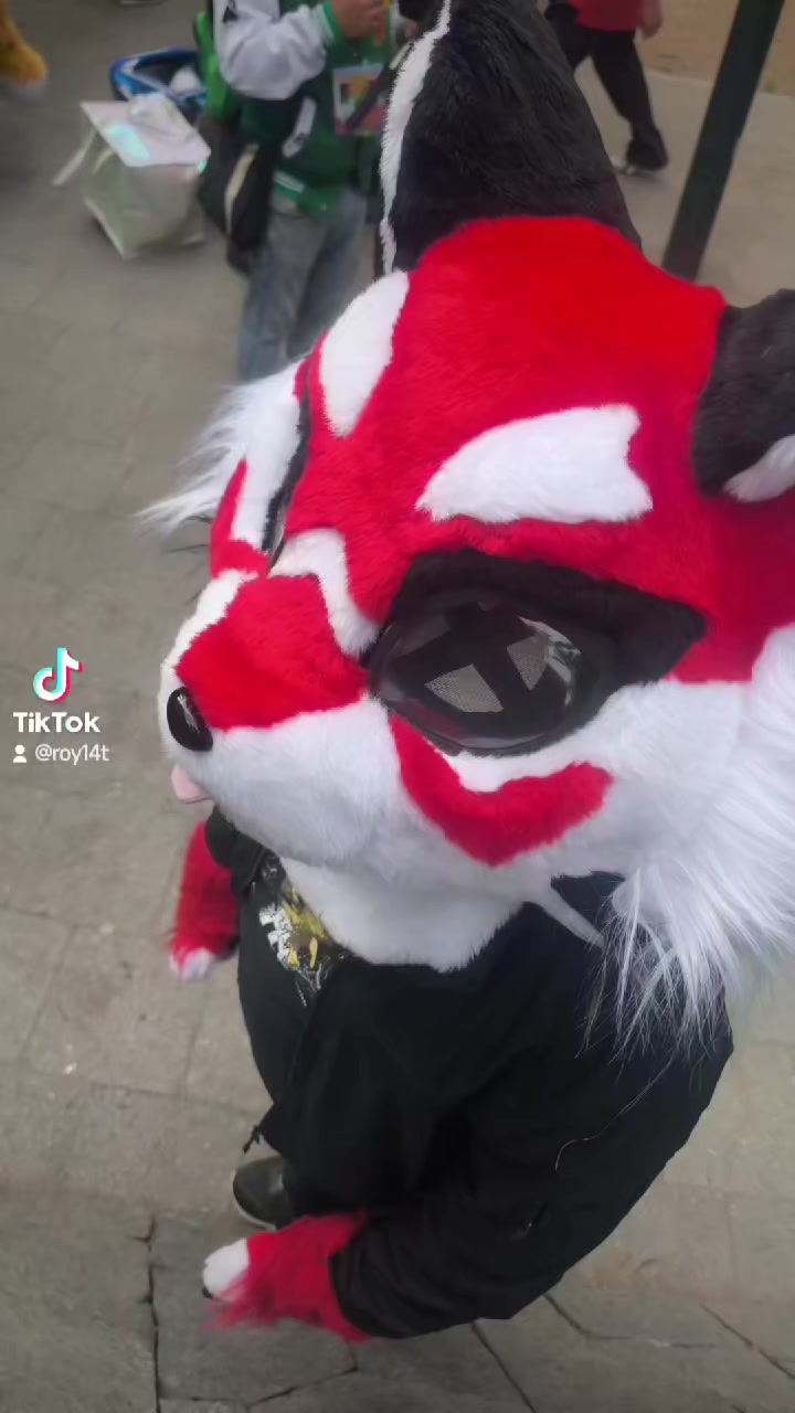 @DYN WOLF