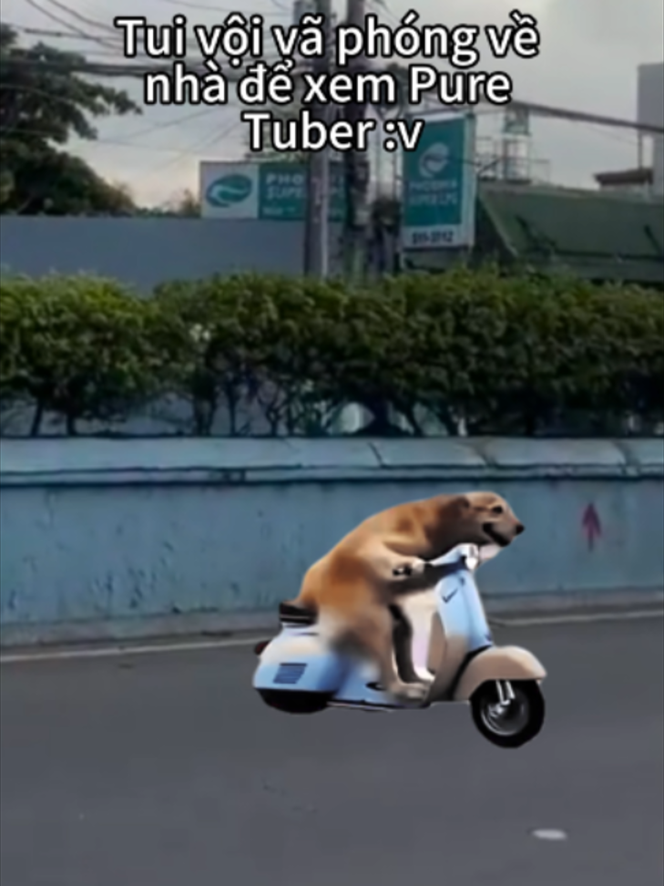 @Pure Tuber Vietnam